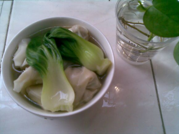 小白菜馄饨3_副本