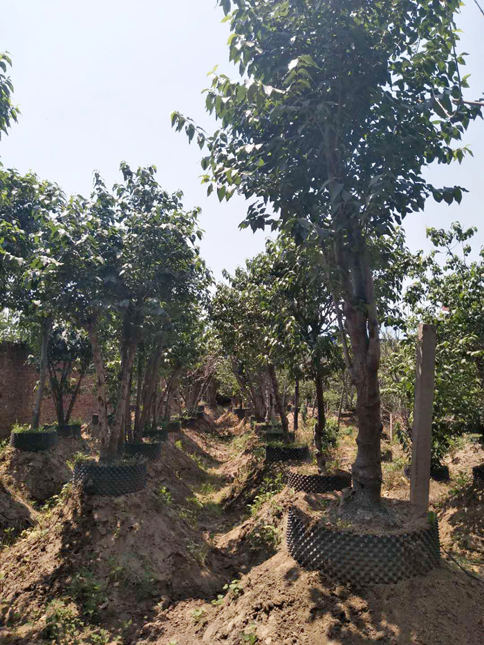 微信图片_20180608104152