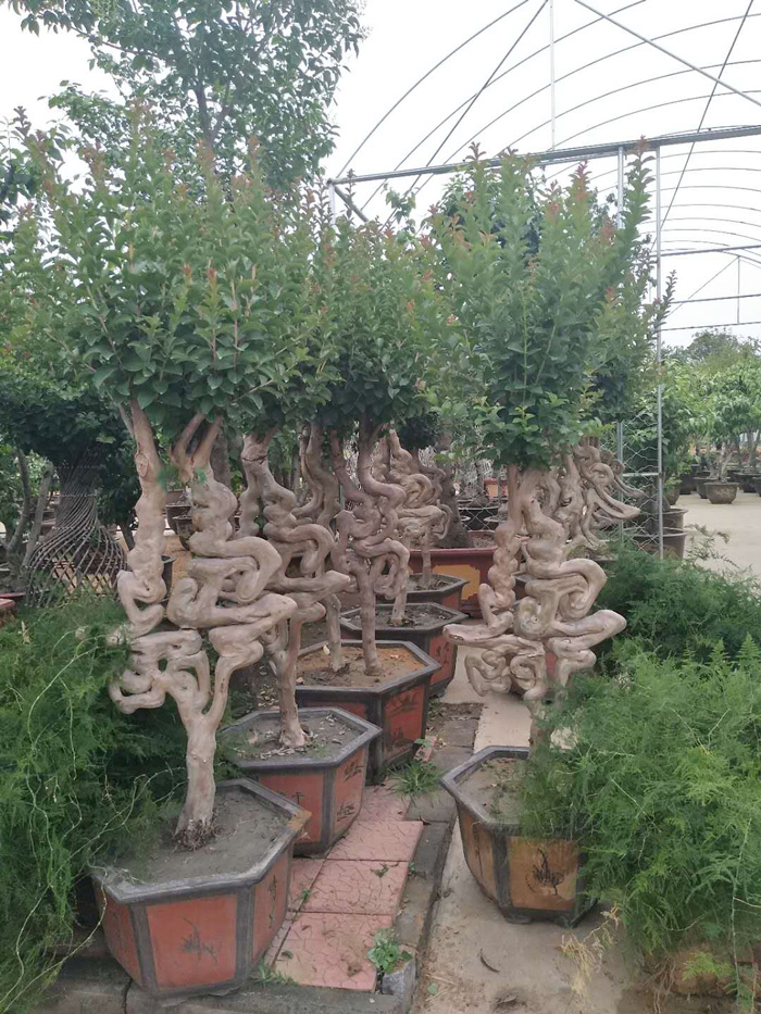 微信图片_20180608104247