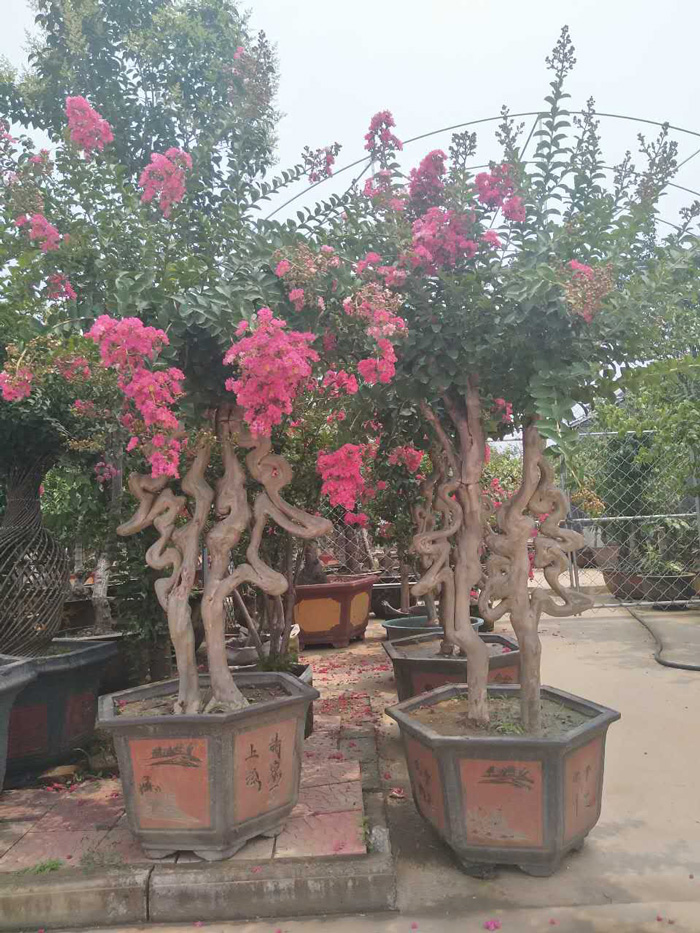 微信图片_20180608104245