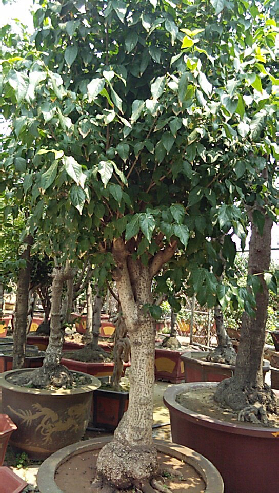 微信图片_20180608104242