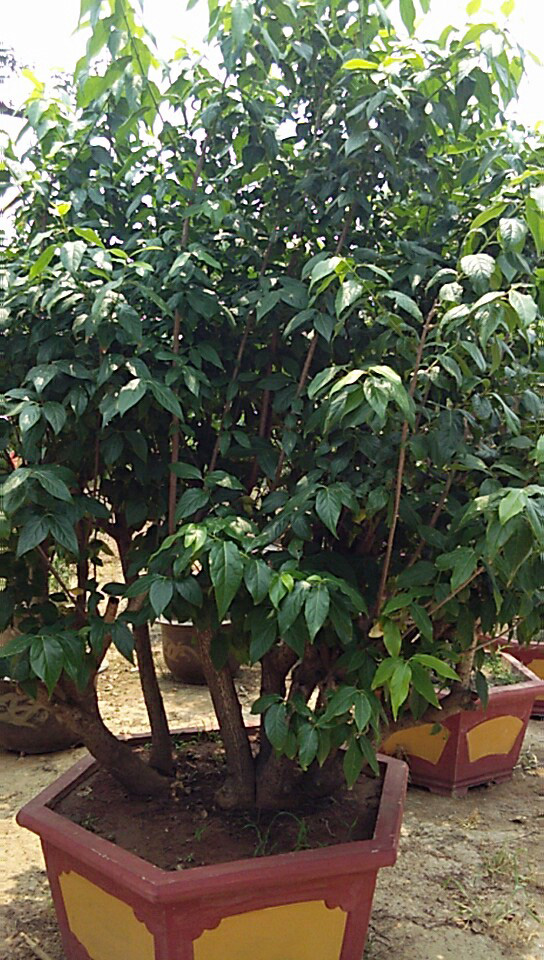 微信图片_20180608104240