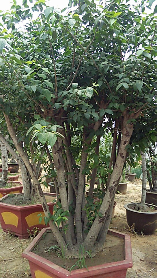 微信图片_20180608104237