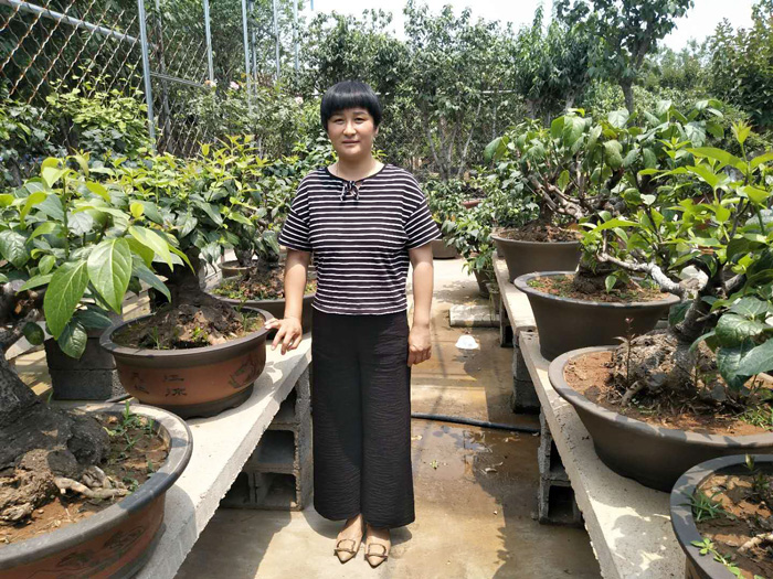 微信图片_20180608104231