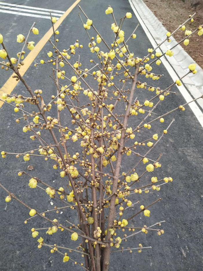 微信图片_20180608104213