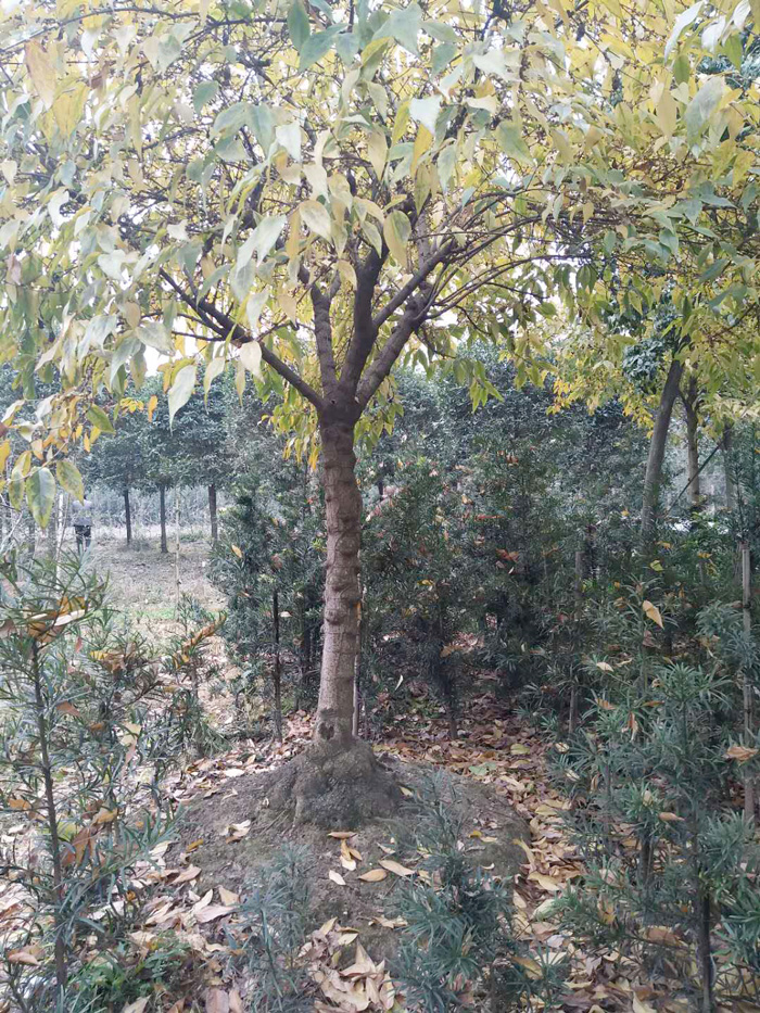 微信图片_20180608104208