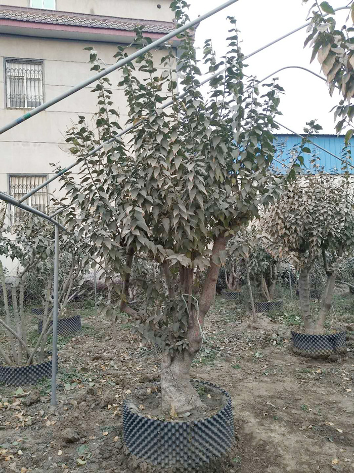 微信图片_20180608104206