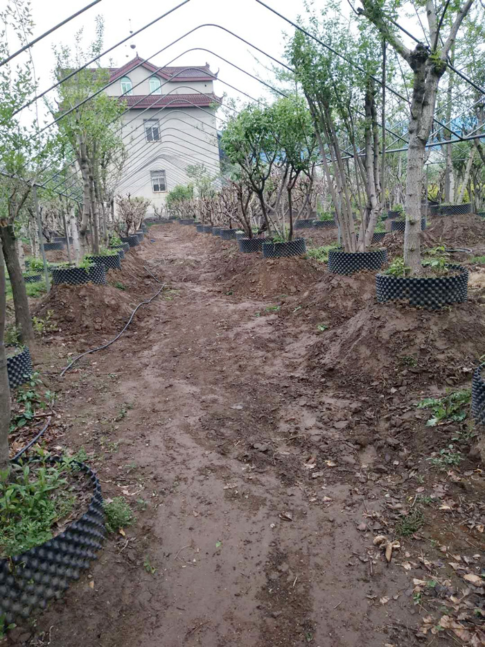 微信图片_20180608104201