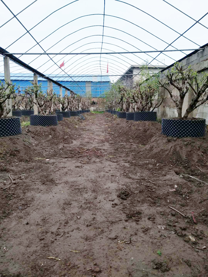 微信图片_20180608104159