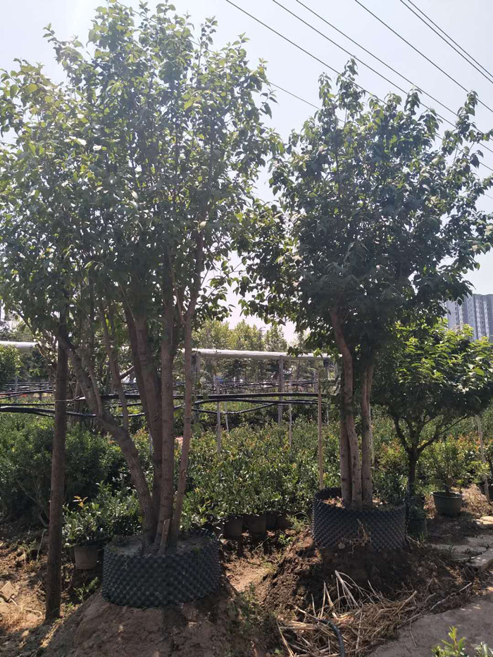 微信图片_20180608104157