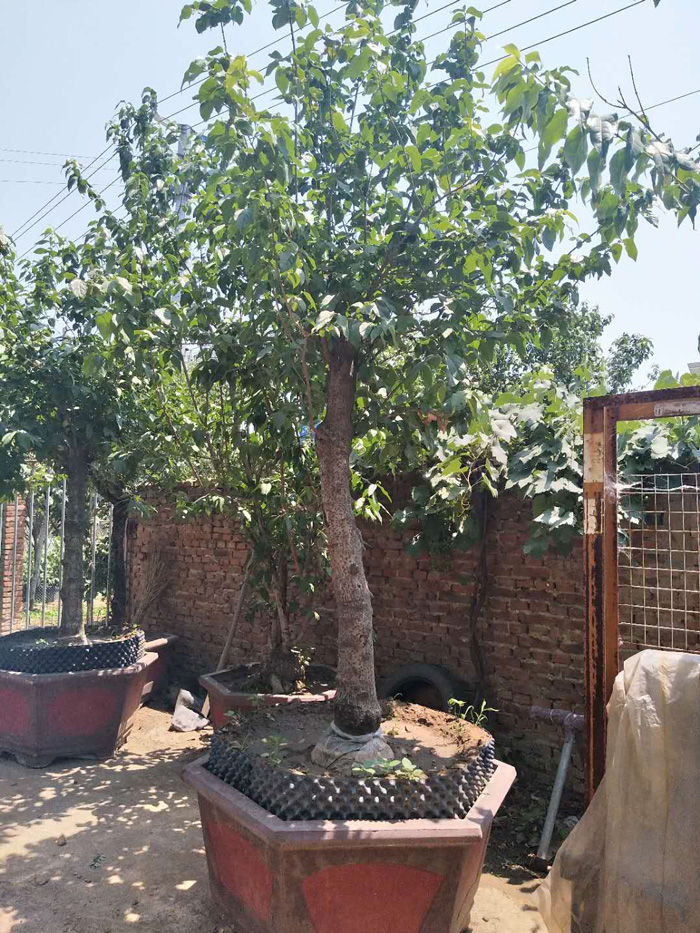 微信图片_20180608104154