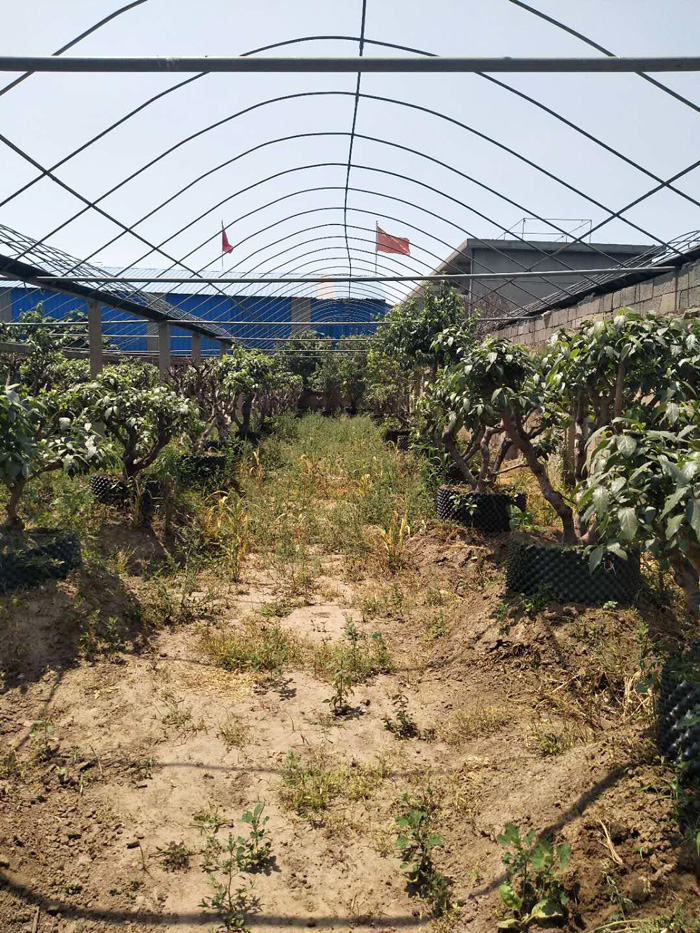 微信图片_20180608104150