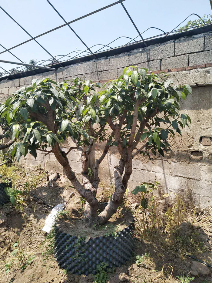 微信图片_20180608104147