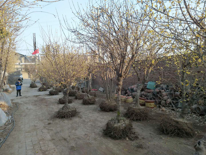 微信图片_20180608104128